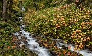 Wahkeena Creek 16-6300